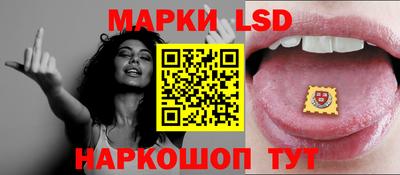 гидра Будённовск