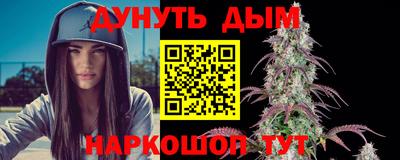 гидра Будённовск