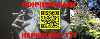 гидра Будённовск