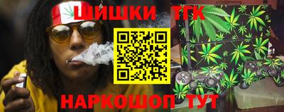 гидра Будённовск