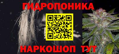 гидра Будённовск