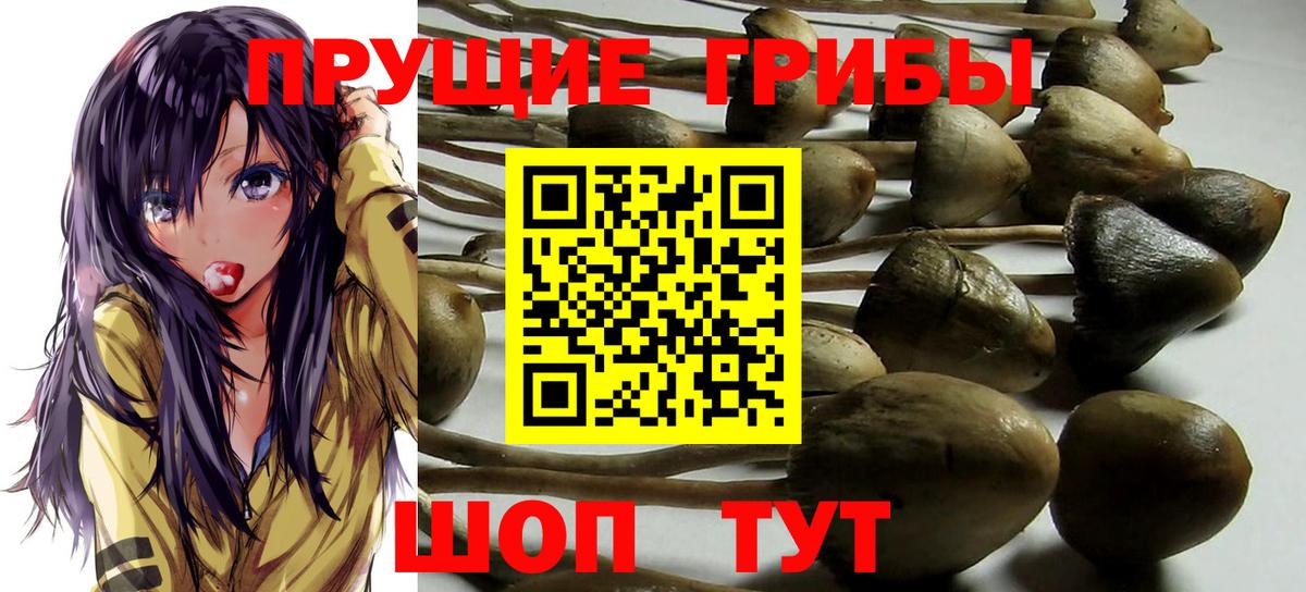 Реж  закладка  Вход с VPN  Псилоцибиновые грибы ЛСД 